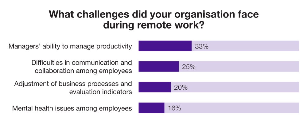 What challenges did your organisation face during remote work?